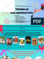 Pirámide Nutricional N 08 PDF