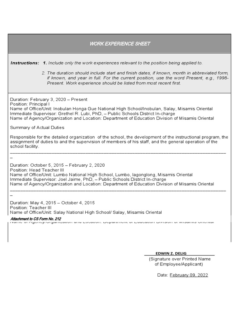 Work Experience Sheet Delig PDF