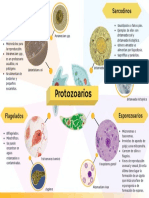 Protozoa Rios