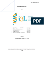 FMCB - HACCP Yoghurt PDF