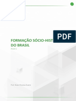 Formação Sócio-Histórica Do Brasil PDF