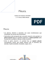 Esplacnología - Pleura