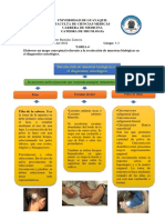 TAREA 4 - Micologia - Bastidas Zamora Jonathan - G3