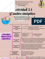 Actividad 2.1 Cuadro Sinóptico AIG PDF