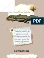 The Crocodile Adaptation