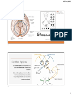 Clase 6 Neuro Oftalmología - 230410 - 135644