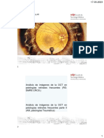 Clase 2 OCT Retina PDF