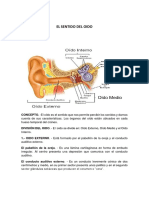 SENTIDO DEL OIDO Humano