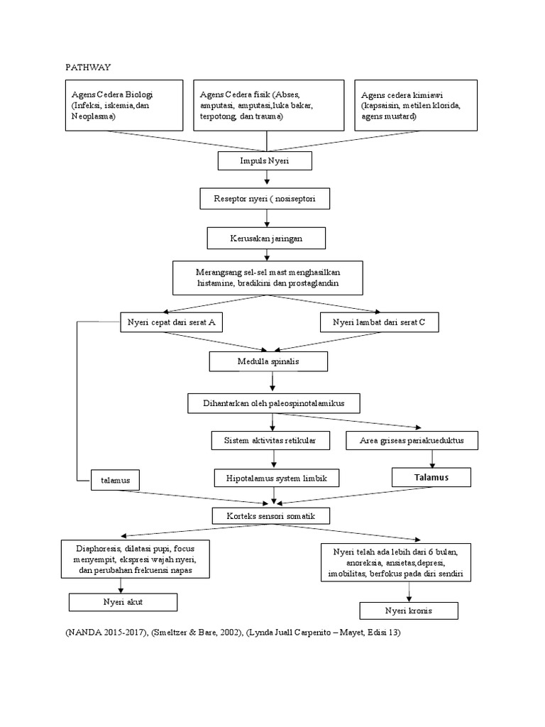PATHWAY | PDF