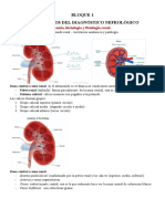 Nefro Primer Interciclo