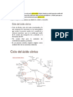 Vias Metabolicas