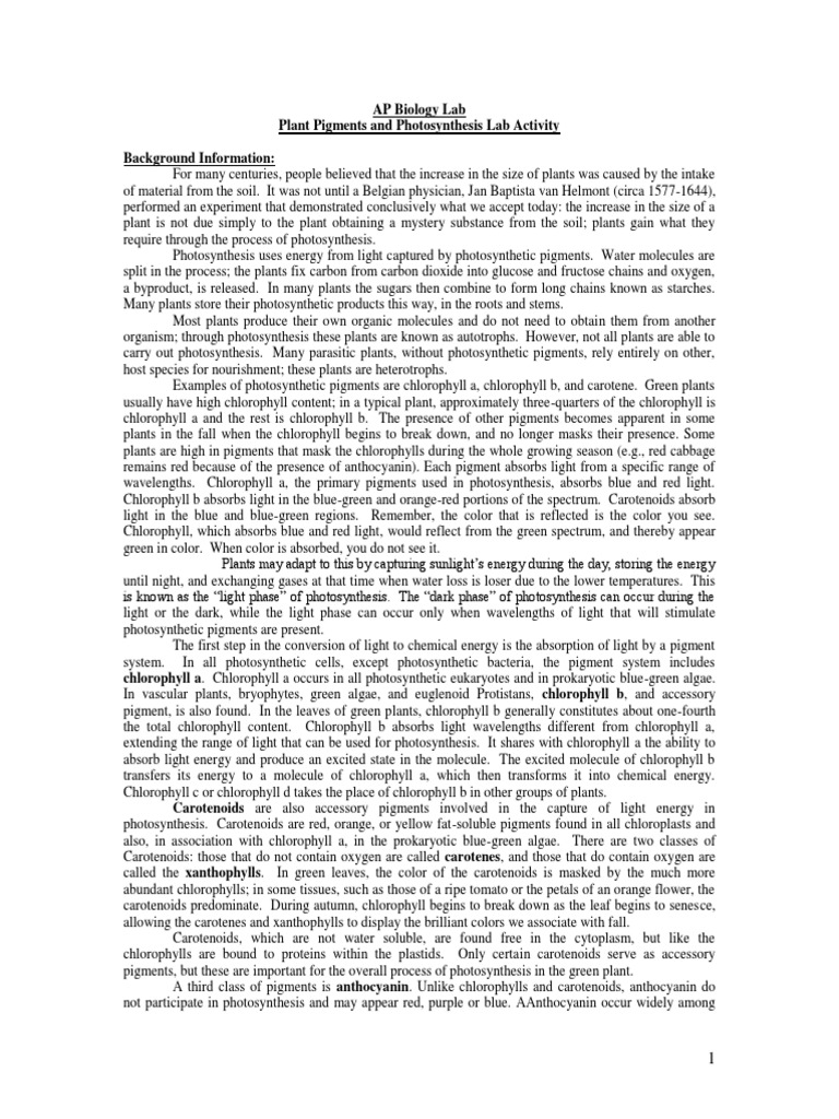 Plant Pigments and Photosynthesis Lab | PDF | Photosynthesis | Carotenoid