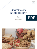 PENCERNAAN KARBOHIDRAT