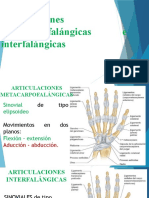 Articulaciones Metacarpofalángicas e Interfalángicas