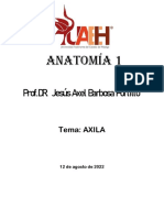 AXILA