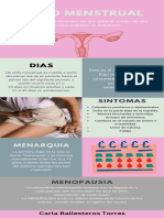 Ciclo Menstrual