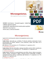 Microorganismos en Lácteos