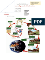 Niveles de Organización de Los Seres Vivos