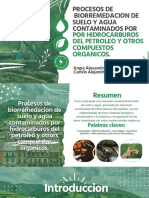 Procesos de Biorremedacion de Suelo y Agua Contaminados