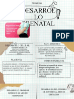 Desarrol LO Prenatal: Primer Mes