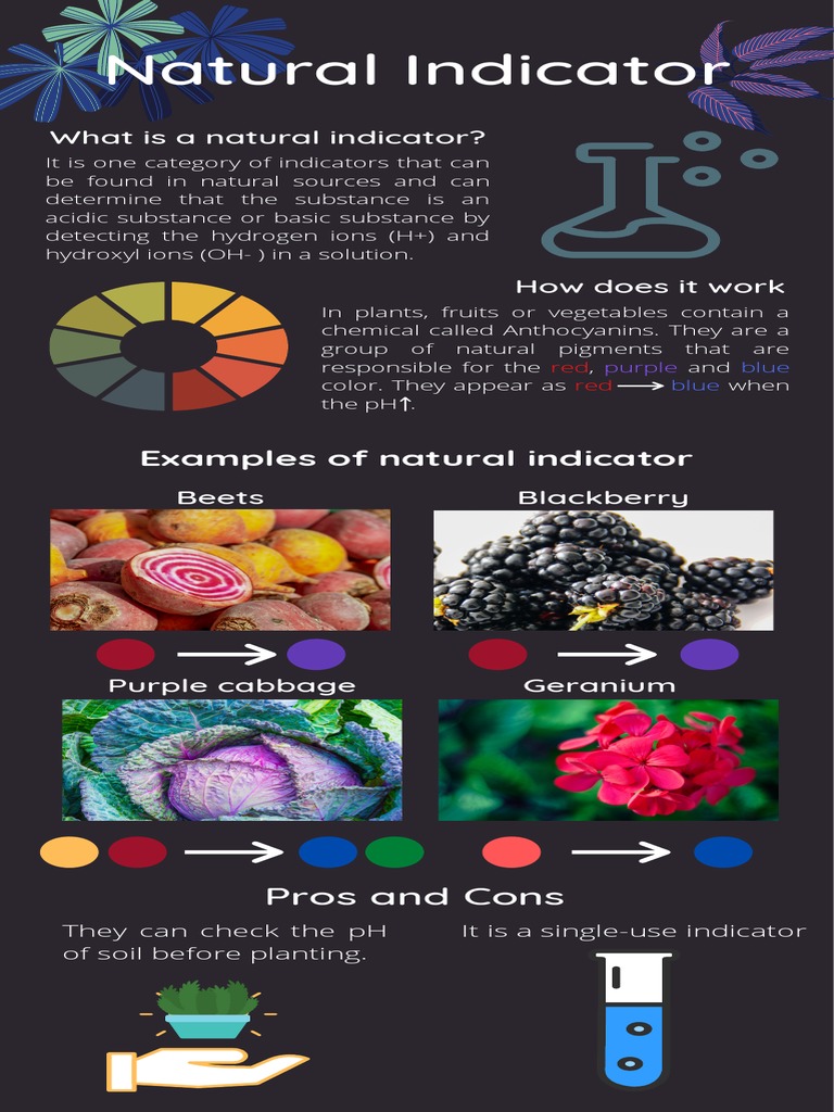 Natural Indicator PDF PDF