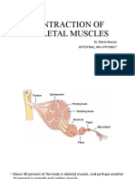 Contraction Mechanism of Skeletal Muscles