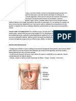Anatomia Del Esofago, Esofagograma, Etc.