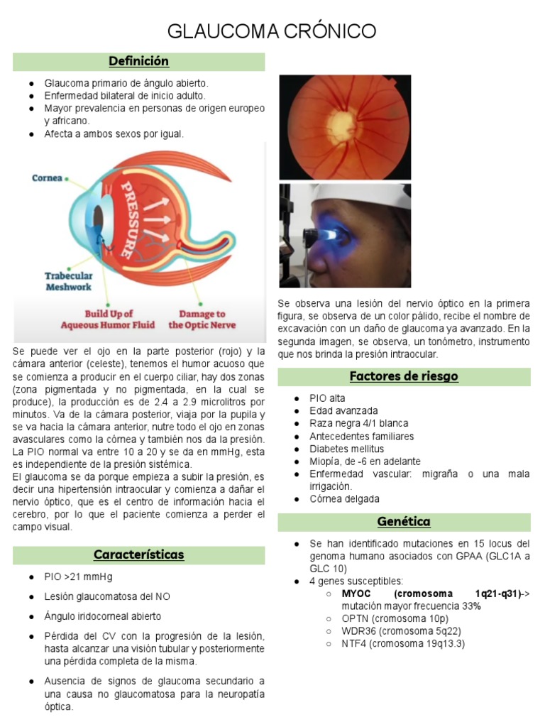 Glaucoma Crónico: Diagnóstico y Tratamiento | PDF | Glaucoma | Sistema ...