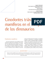 Cinodontes y mamíferos en el Triásico