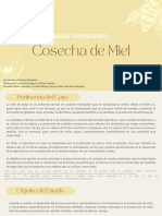 Presentación Miel PDF