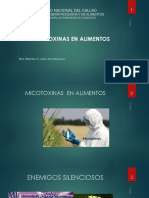 CAPITULO 6 .MICOTOXINAS  EN ALIMENTOS  2021- 1.pdf