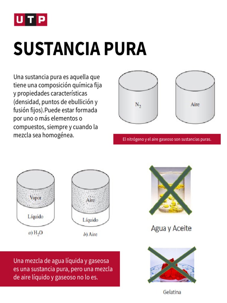 Semana 2 Infografía Fases de Una Sustancia Pura PDF