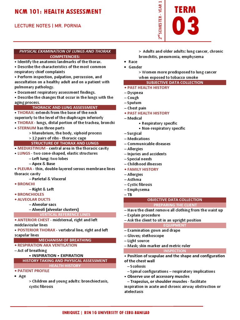 Thoracic and Lung Assessment Guide | PDF | Lung | Thorax