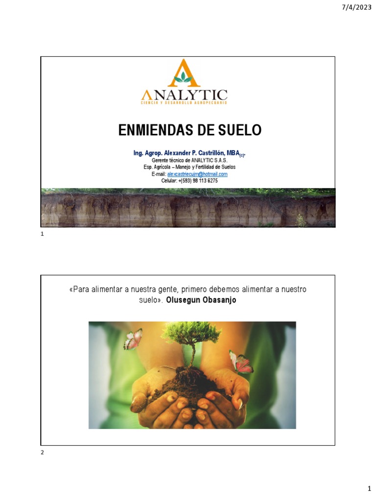 Presentación Enmiendas Del Suelo Pdf Pdf Suelo Magnesio