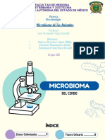 Microbioma Del Cerdo