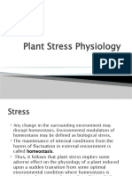 Plant Stress Physiology: Effects on Photosynthesis and Strategies to Cope