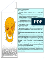 181739935 Sectiunea 8 Normele Craniene PDF