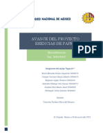 Avance Del Proyecto PDF