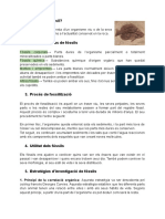 Els Fòssils PDF