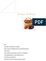 Proiect Didactic Dec-Activitate Plastică PDF