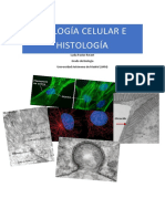 BCH Examen Marzo