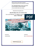 Mémoire Sabah Chihoub 01 PDF
