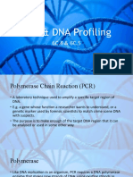 Y13 PCR & DNA Profiling