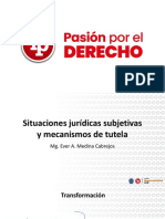 Sesión 1 Situaciones Jurídicas Subjetivas y Mecanismos de Tutela PDF