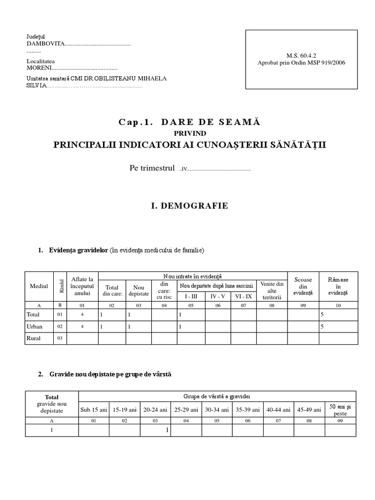 Formular 1 | PDF