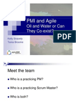 PMI and Agile Presentation