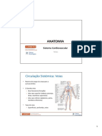 ESS Anatomia1 Veias PDF