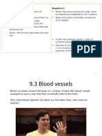 Blood Vessel Structure and Function