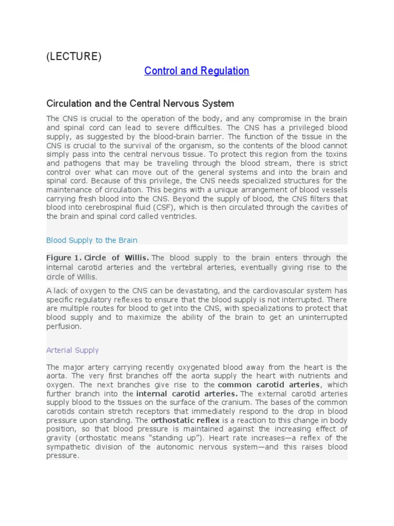 Circulation and The Central Nervous System | PDF | Cerebrospinal Fluid ...