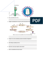 Estrutura, reprodução e importância dos vírus e bactérias